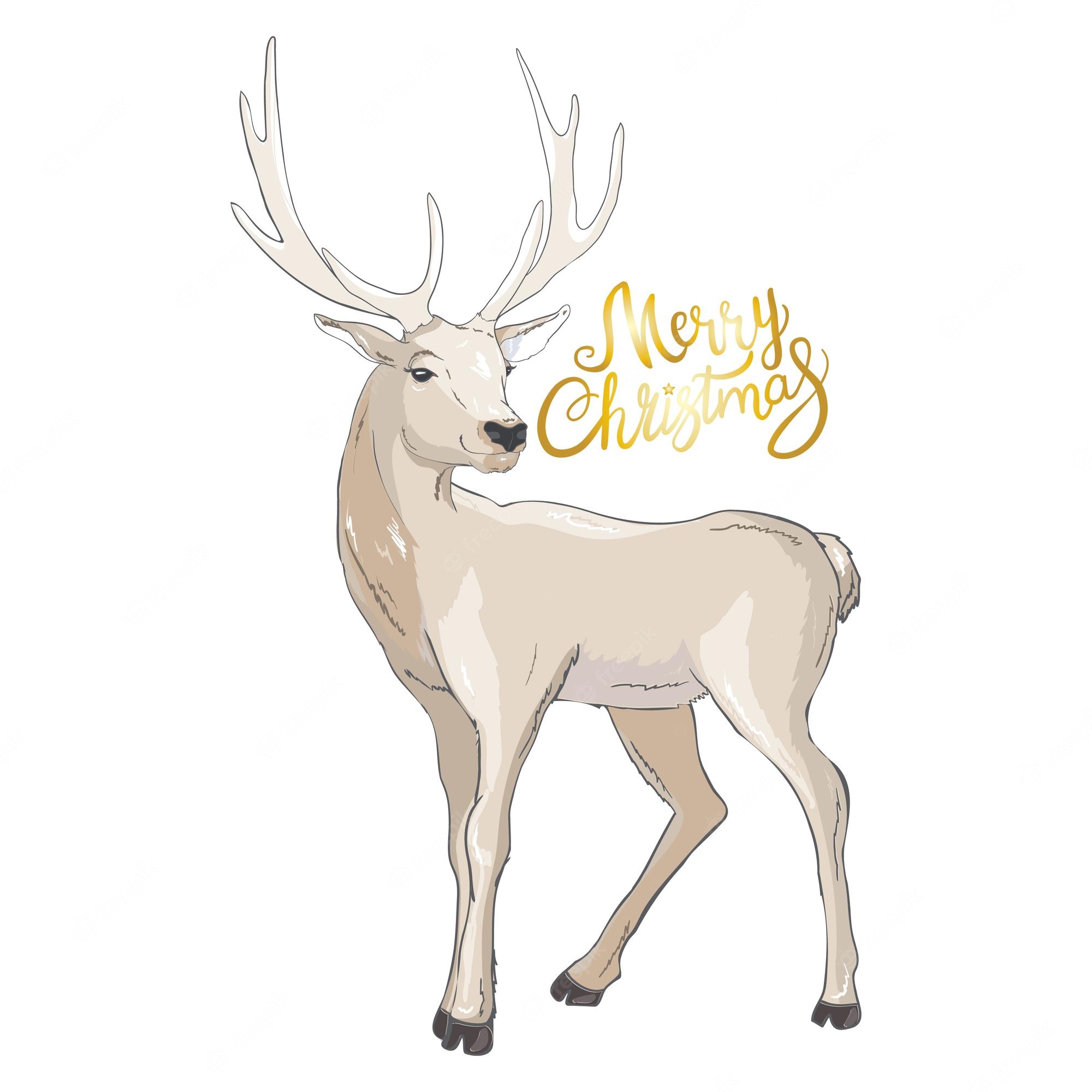 Free Deer Letters, Download Free Deer Letters Png Images, Free Cliparts 