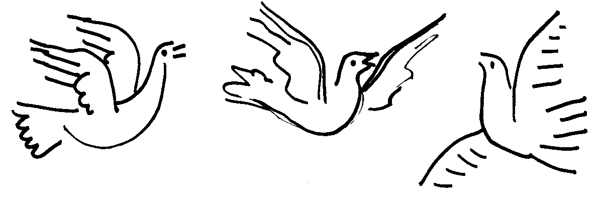 Three hand-drawn line art doves in flight, each with distinct wing positions and stylized features.