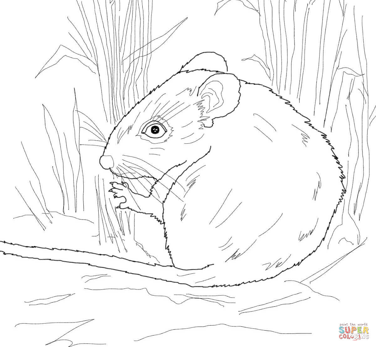 Black-and-white line drawing of a mouse nibbling food among tall grasses, ideal for coloring pages.
