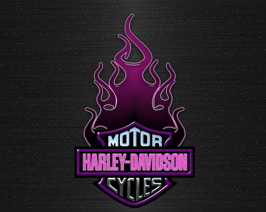 Harley-Davidson Motorcycles Logo - Iconic Flame Design