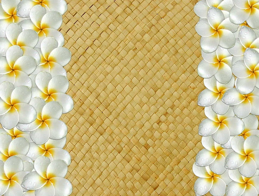 Tropical Plumeria Flower Border on Woven Bamboo Mat - Premium Background Image