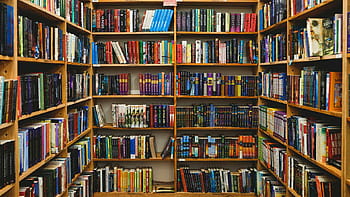 A cozy, well-lit library corner with wooden shelves packed with colorful books arranged tightly in rows.