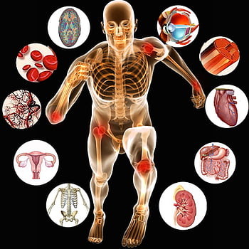Human anatomy diagram showing skeletal system with surrounding close-ups of major organs and tissues.