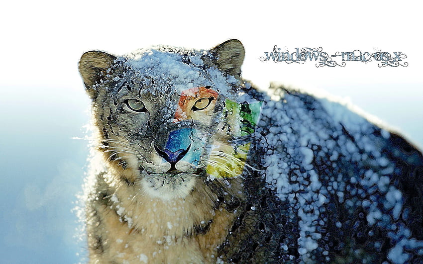 snow leopards - Clip Art Library