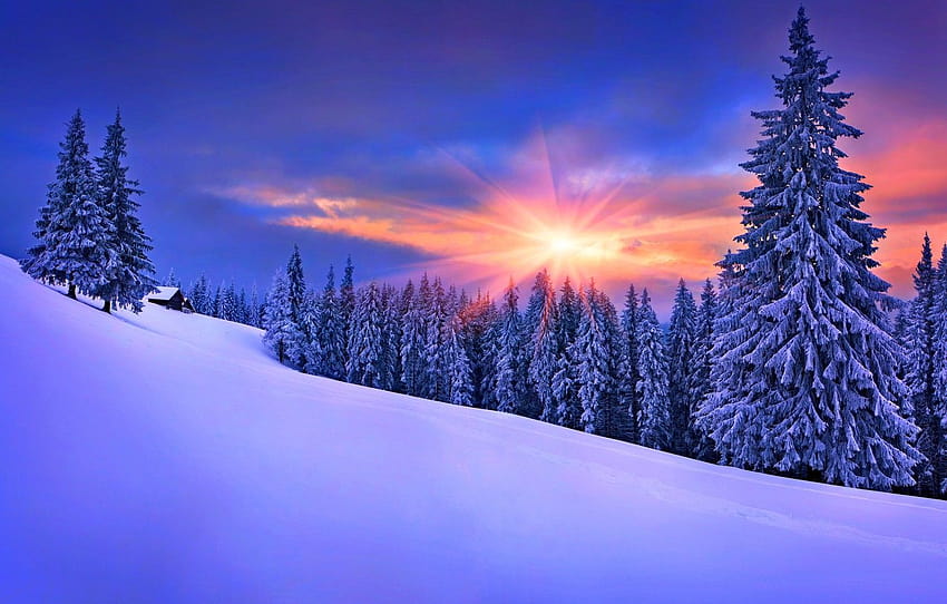 Snow-covered pine trees on a hill at sunset with vibrant purple and orange sky.
