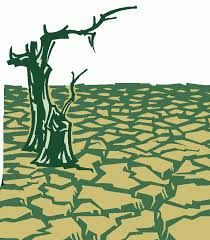Drought and Desertification: Visual Representation of Environmental Crisis