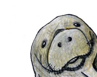 Friendly Manatee Illustration - Whimsical Wildlife Art