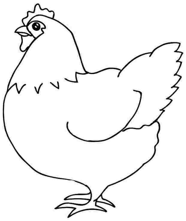 Hen Coloring Page for Kids - Free Printable Chicken Illustration