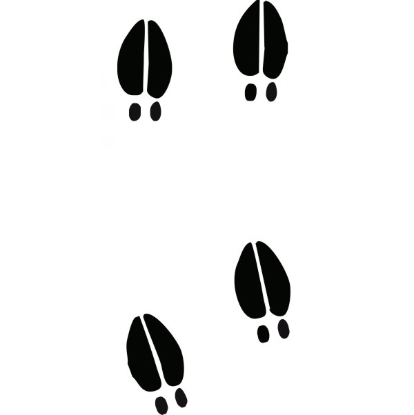 Four black deer hoof prints arranged in a diagonal walking pattern on white background.