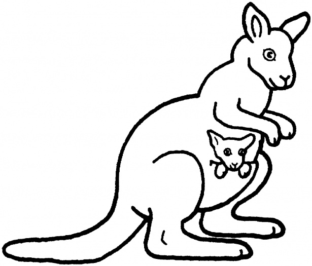 Kangaroo and Joey Coloring Page - Free Printable for Kids