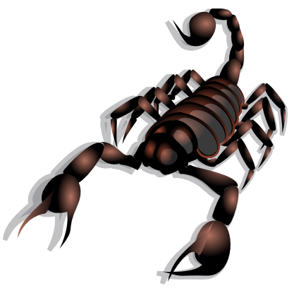 Hand Drawing Scorpion Royalty Free SVG, Cliparts, Vectors, And - Clip ...