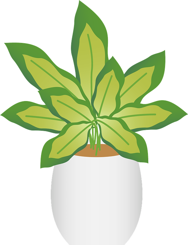 https://clipart-library.com/2023/dieffenbachia-dumb-cane-clipart-md.png