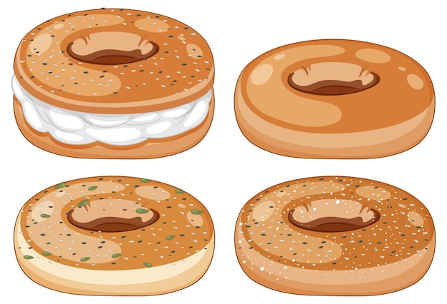 Four illustrated bagels: sesame, plain, everything, and cream cheese sandwiched between two halves.