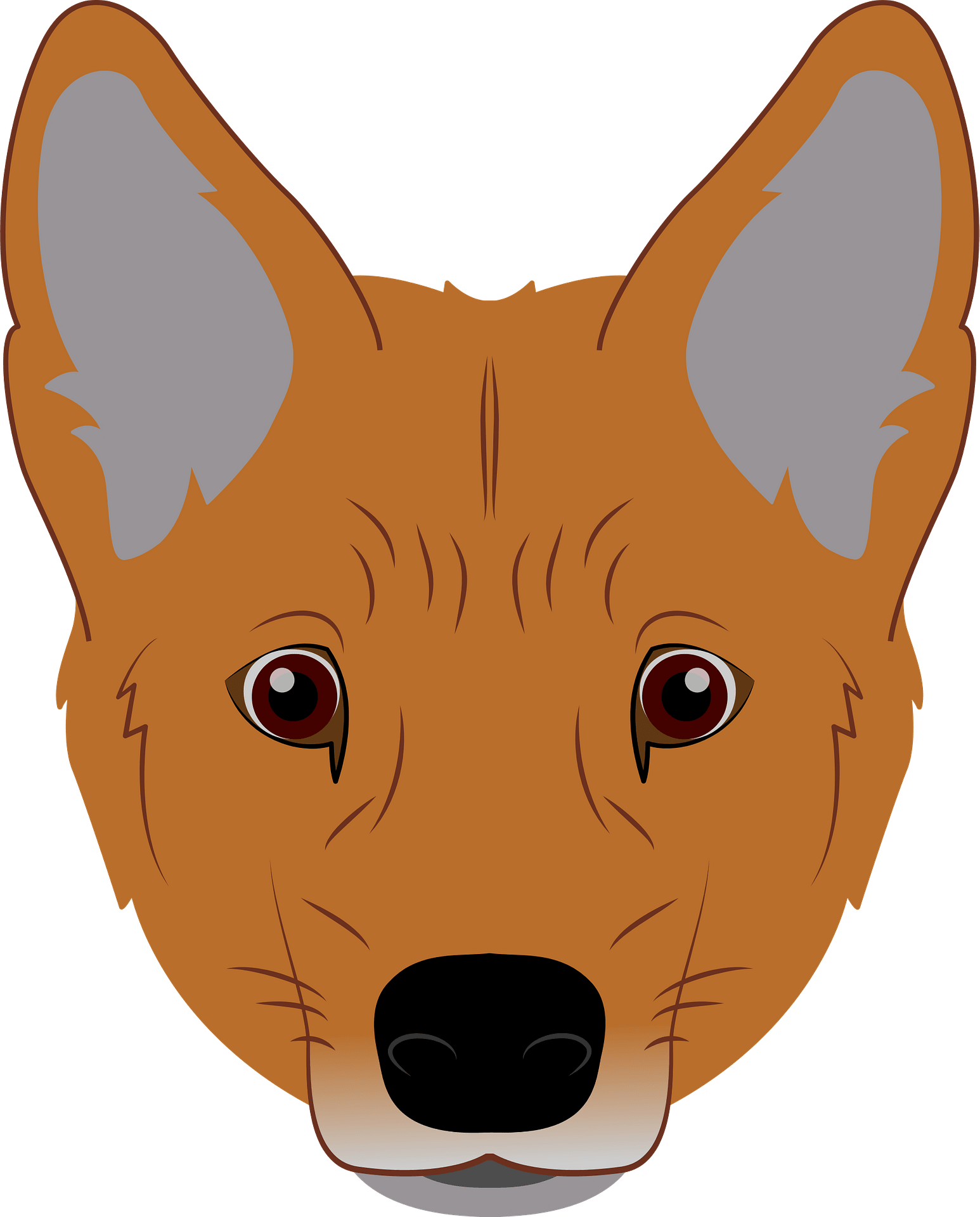 Dingo Dog Dingo Transparent Background PNG Clipart, 53% OFF