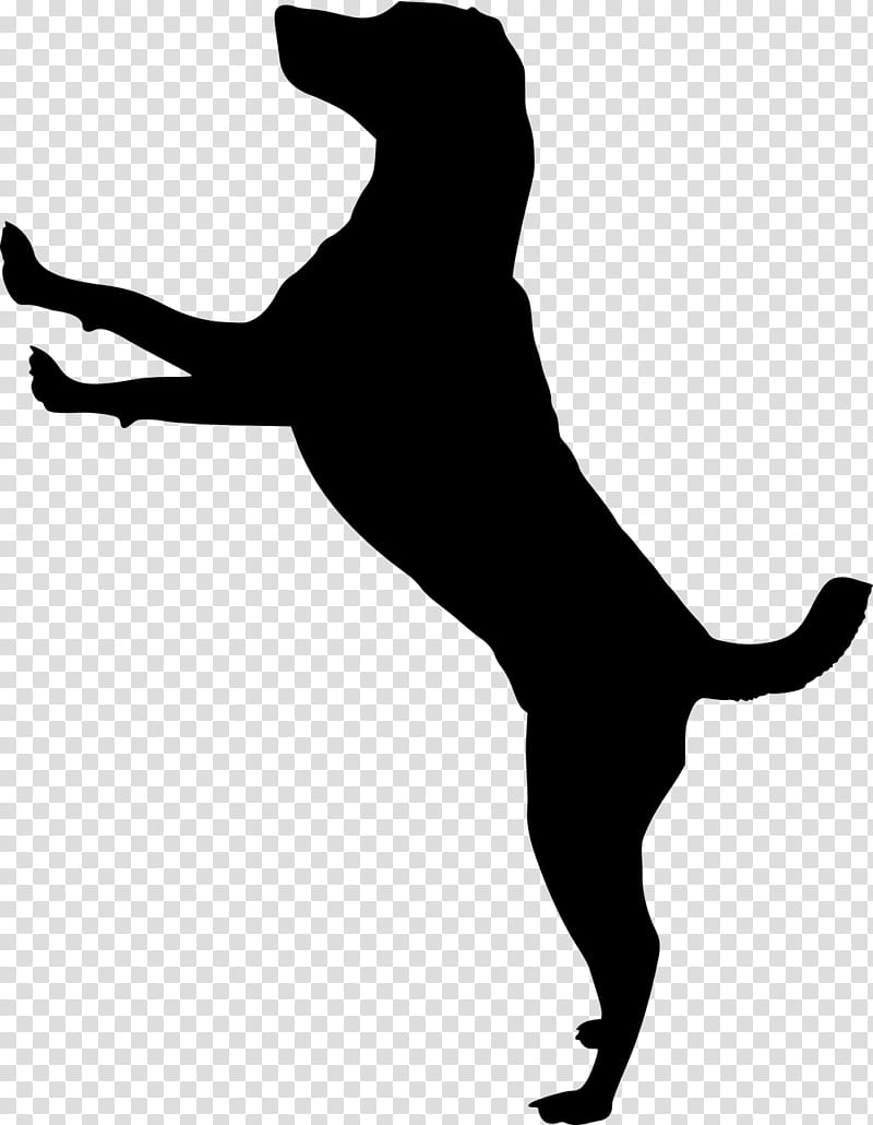 Black silhouette of a dog standing on hind legs, front paws raised, tail extended-dynamic and playful pose.