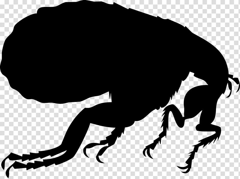 Black silhouette of a flea in side profile, showing segmented body, long hind legs, and clawed feet on transparent background.