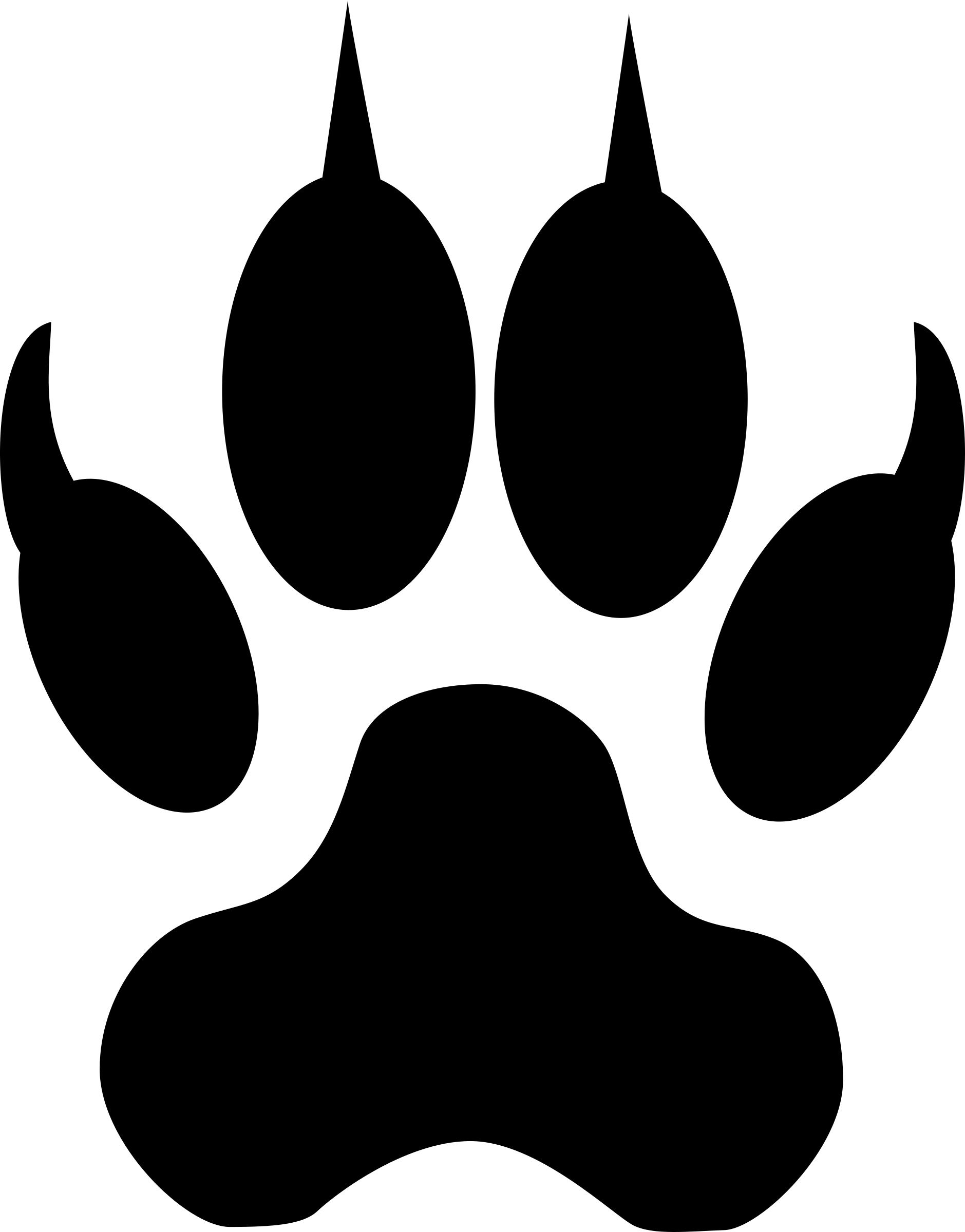 Blank image placeholder with no visible content.