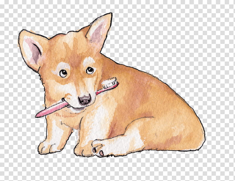 dog teeths - Clip Art Library