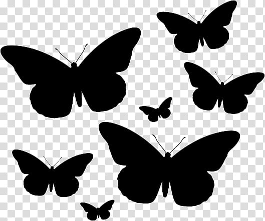 Black Butterflies clip art Digital Collage Sheet vintage butterfly ...