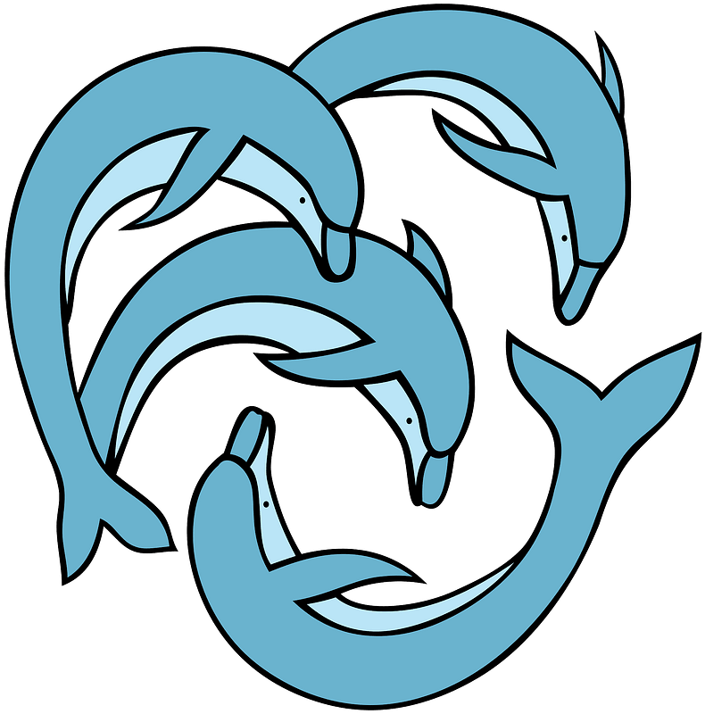Dolphin Circle Illustration - Symbol of Unity and Marine Harmony