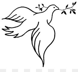Peace Dove with Olive Branch - Symbol of Harmony and Hope