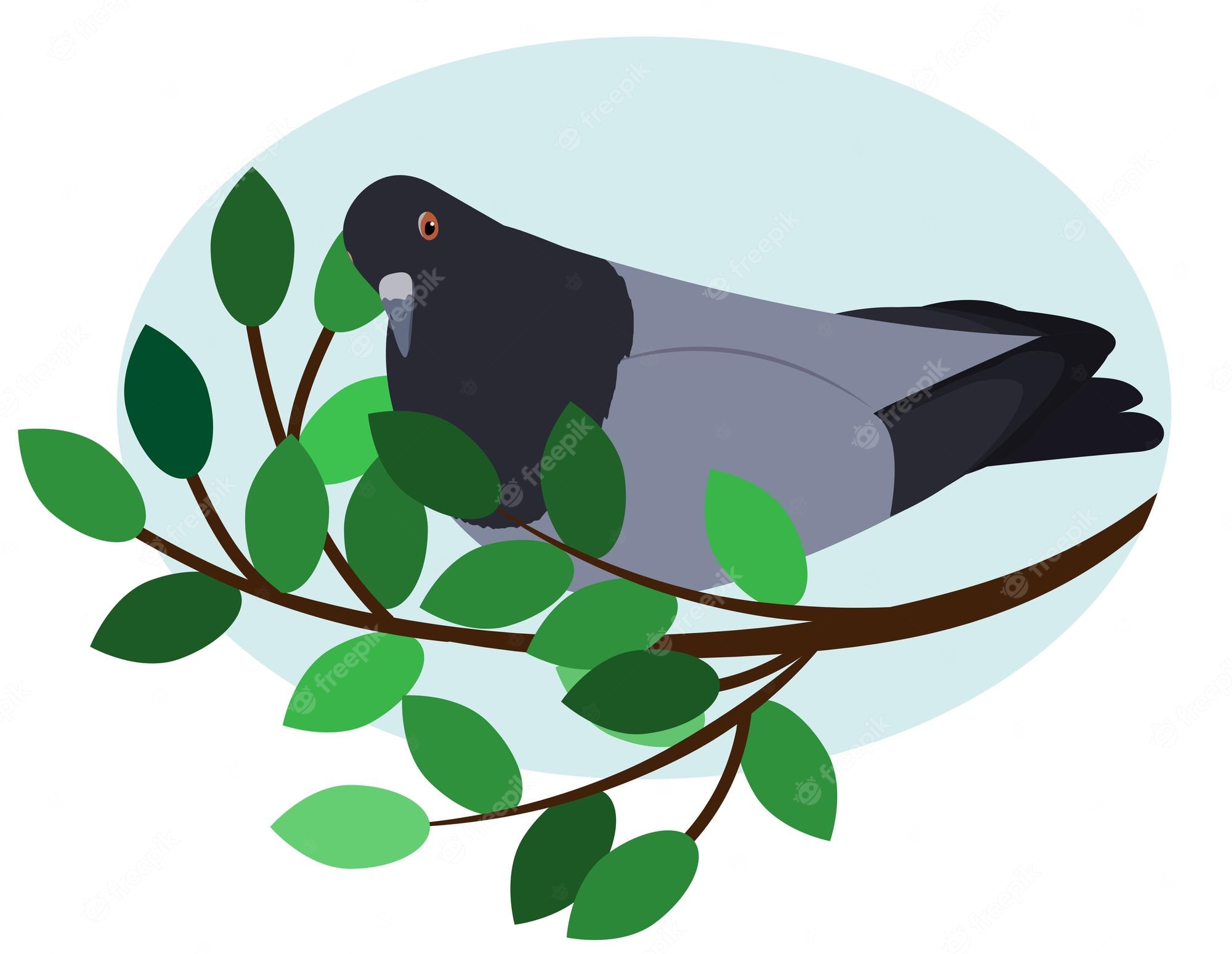 A gray and black pigeon perched on a leafy green branch inside a light blue oval frame.
