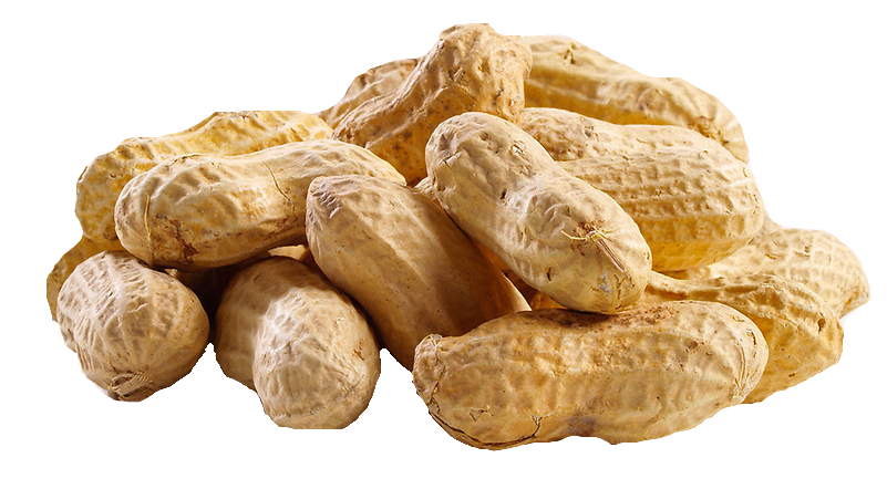 A pile of raw, unshelled peanuts on a white background, showcasing natural texture and earthy tones.