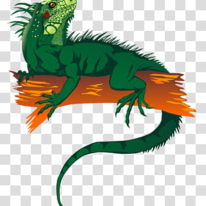 Green iguana perched on a branch with spiky crest and vivid orange accents, illustrated in cartoon style.