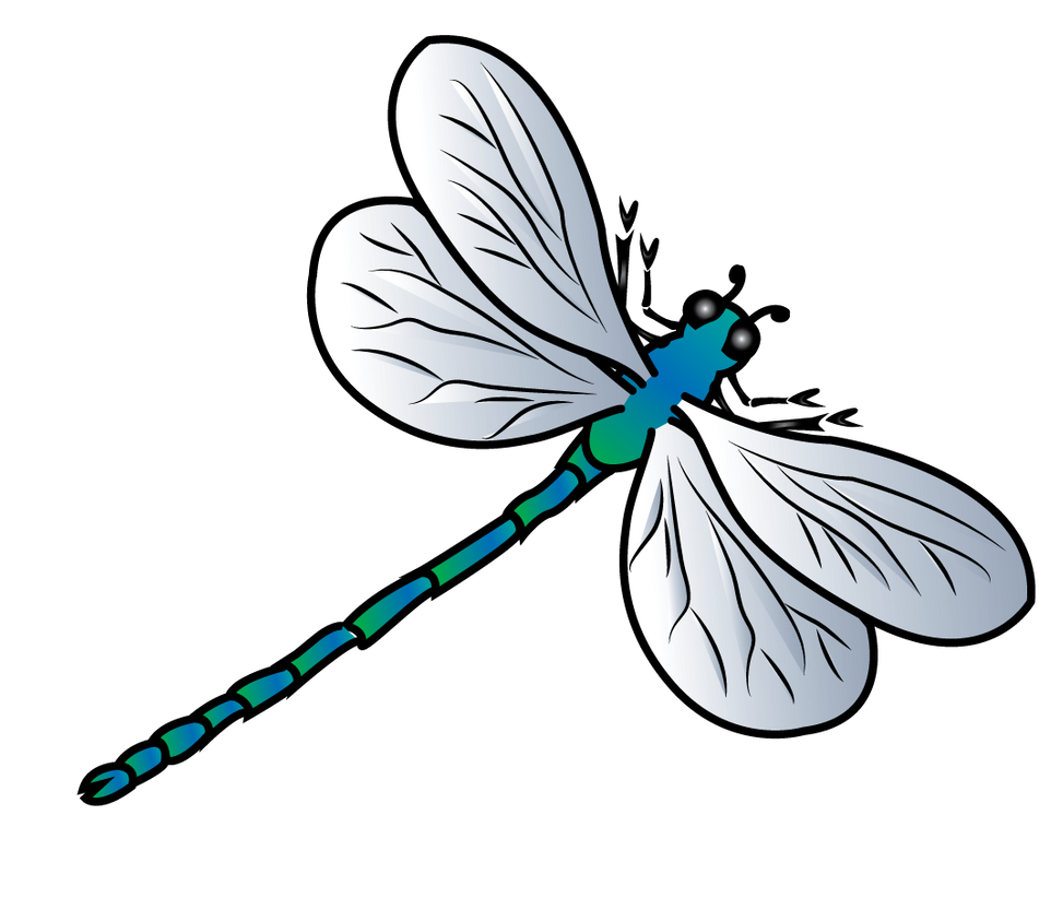 Dragonfly Clipart Vectors And Illustrations For Free Download Clipart Library Clip Art Library