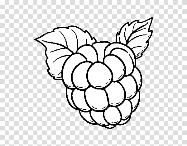 Raspberry Coloring Page - Free Printable Berry Illustration