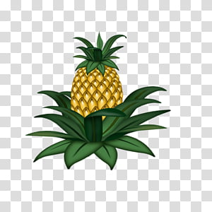 Illustration of a ripe yellow pineapple with green spiky leaves on transparent background.