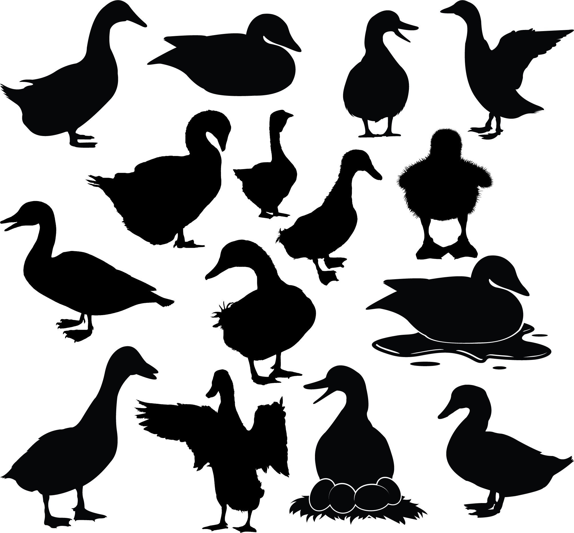 Duck Silhouette Clip Art, Transparent PNG Clipart Images Free - Clip ...