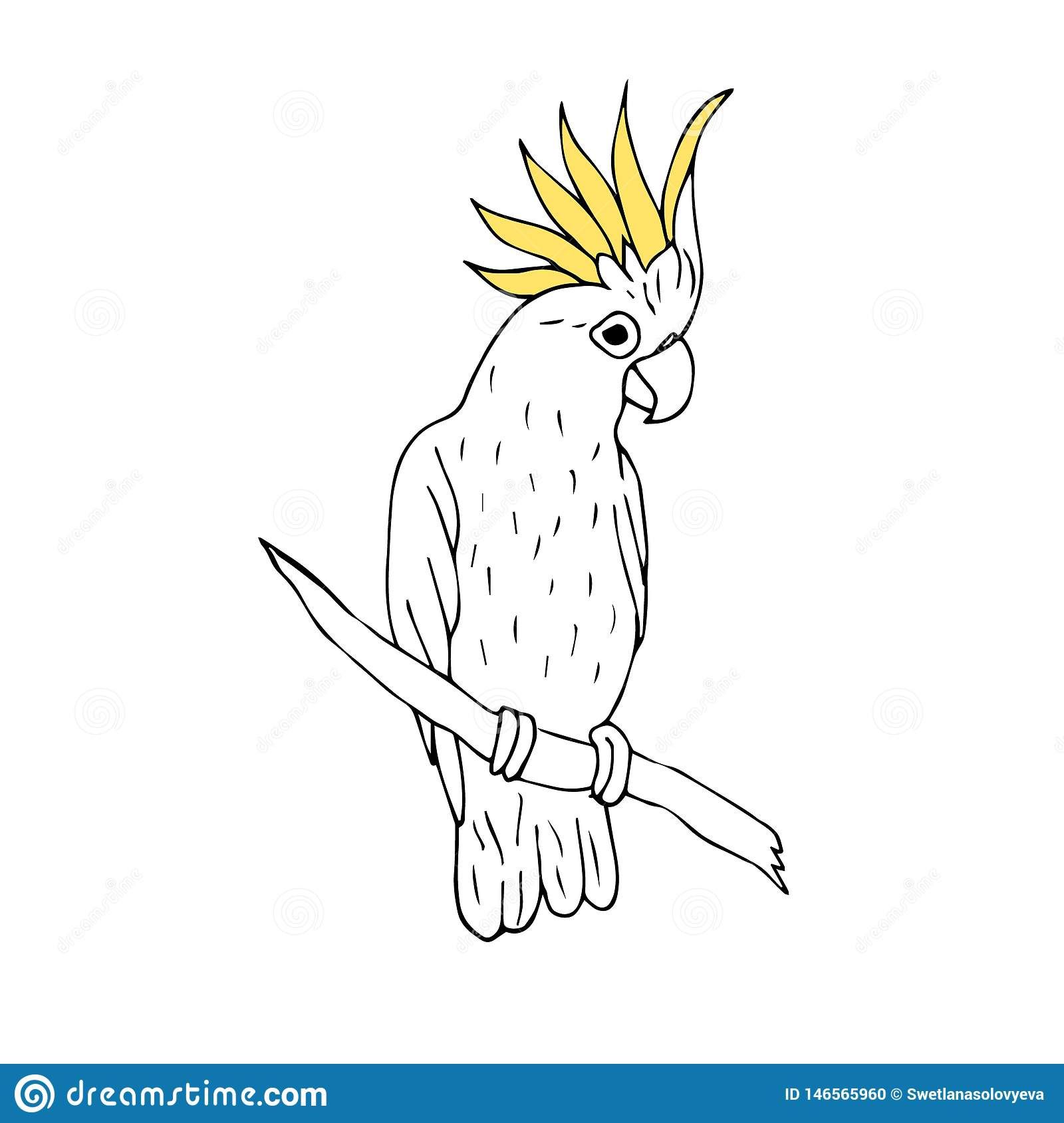 White cockatoo with yellow crest perched on a branch, hand-drawn line art style.