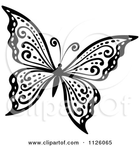 Ornate black-and-white butterfly with intricate swirls and dotted patterns on its wings.