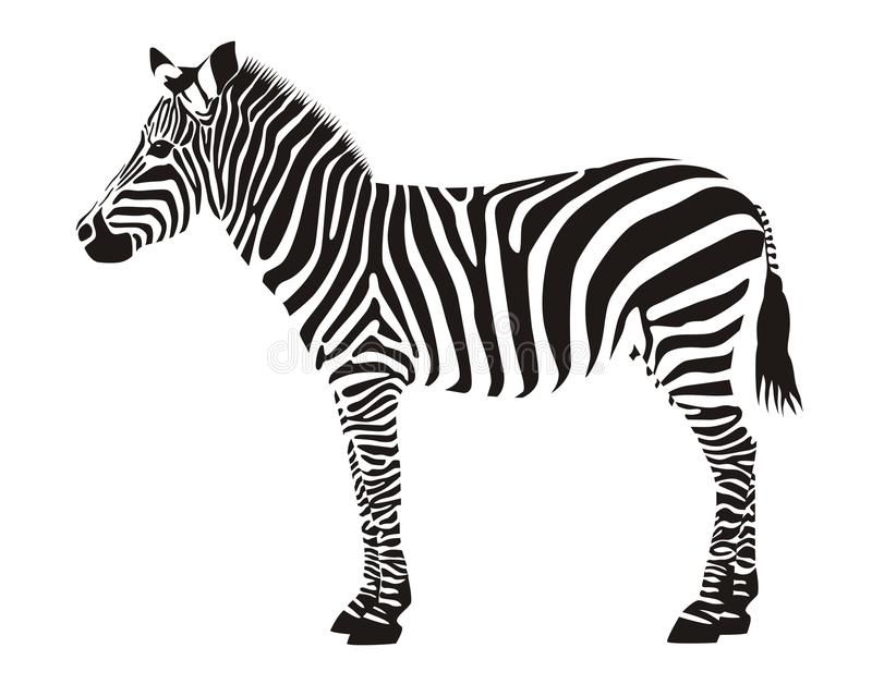 Zebra Vector Material, Zebra Clipart Black And White, Zebra, Horse