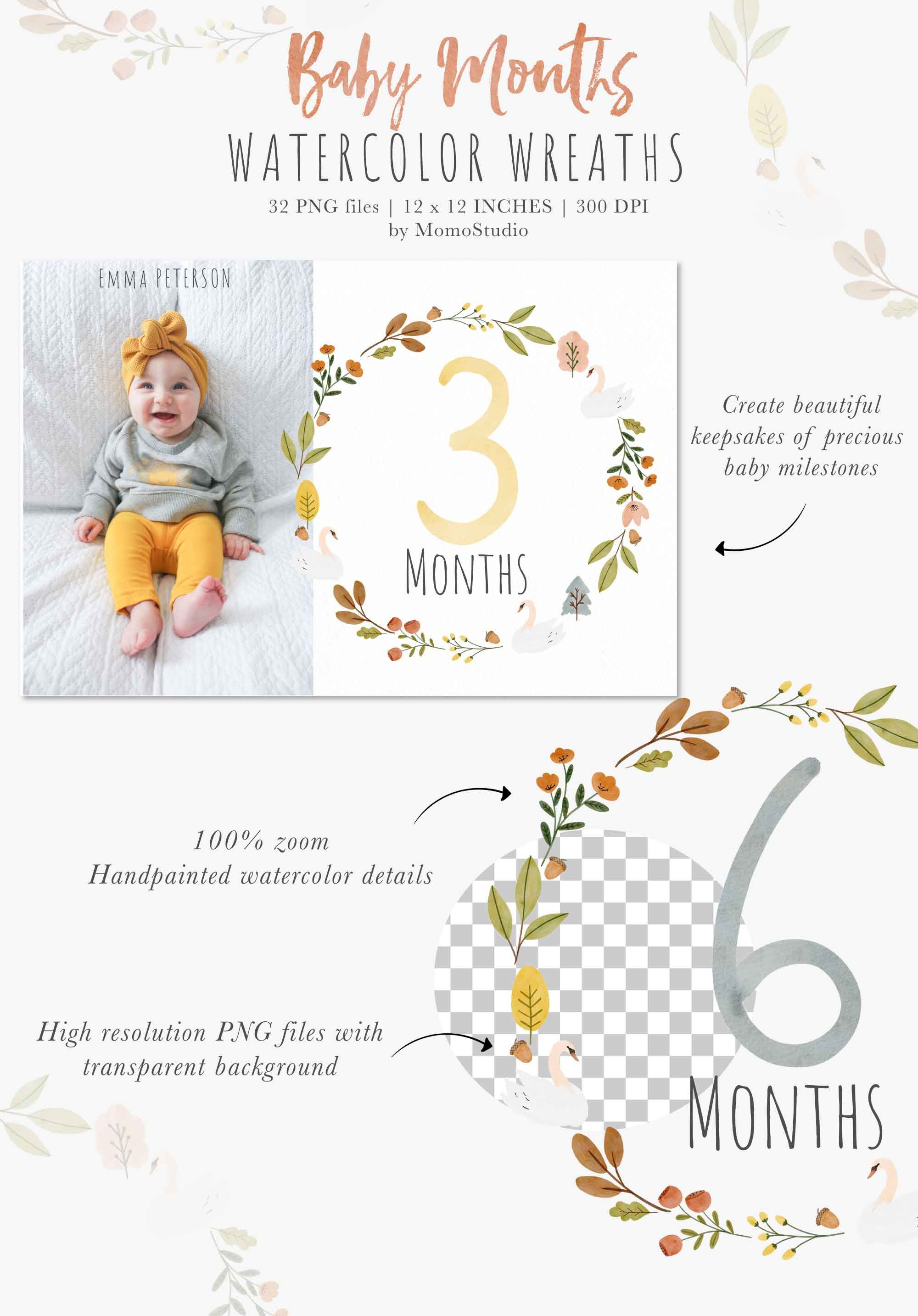 Watercolor baby milestone wreaths for 1-12 months, featuring floral designs and swans; high-res PNGs by MomoStudio.