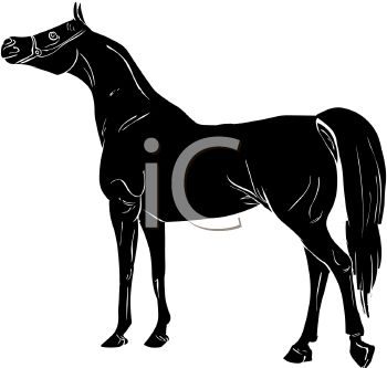 Elegant Horse Silhouette Illustration - Free Clipart for Equestrian Projects