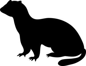 Weasel Silhouette Image - Free Vector Graphic for Wildlife Content