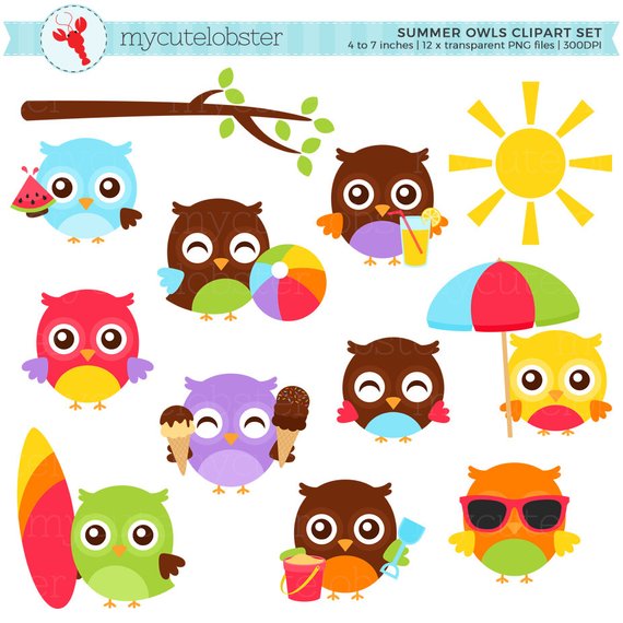 Summer Owls Clipart Set - 12 Transparent PNGs for Crafts & Design