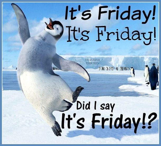 It’s Friday! Celebrating the Weekend with a Happy Penguin Meme