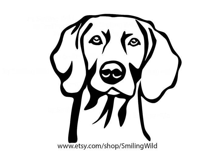 Black-and-white line art illustration of a German Shorthaired Pointer dog head, stylized with expressive eyes and floppy ears.
