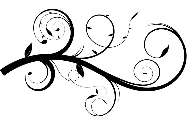 Decorative Floral Vine Swirl Vector Illustration | Free Download