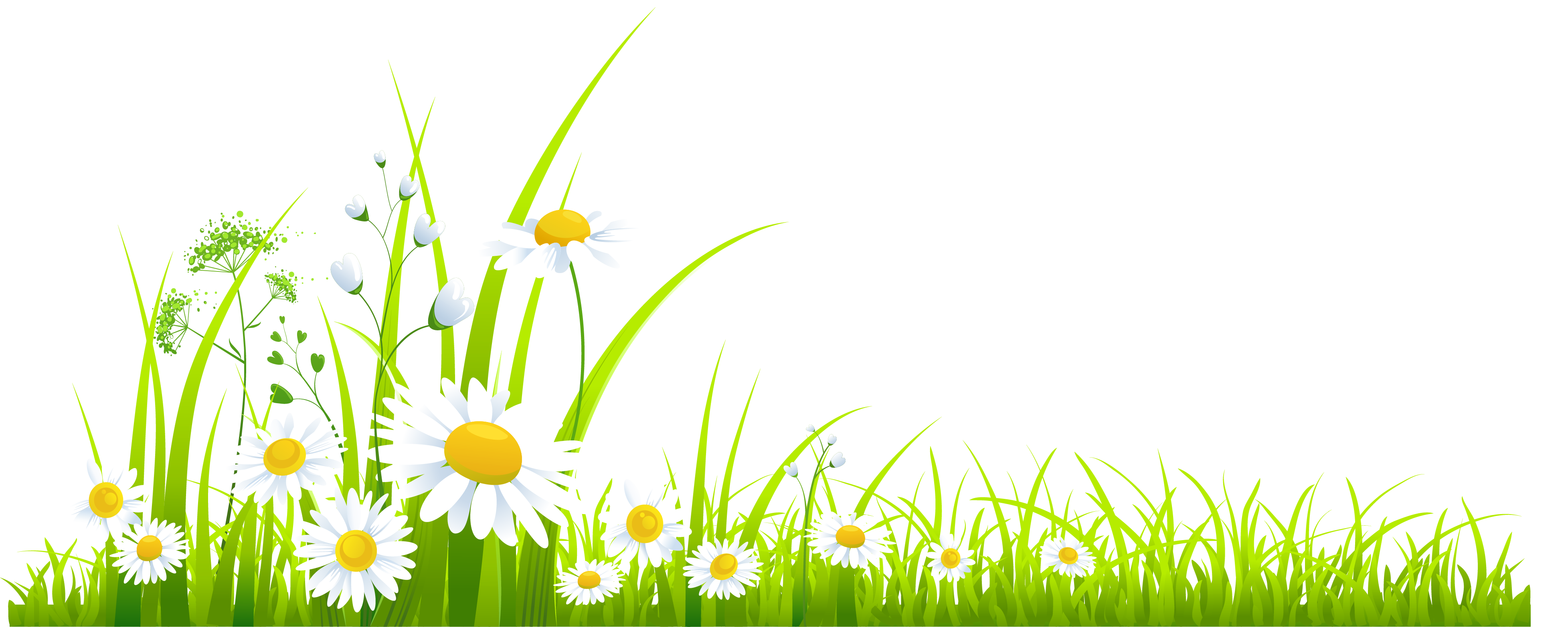 Vibrant green grass with white daisies and delicate wildflowers in a cheerful spring meadow illustration.