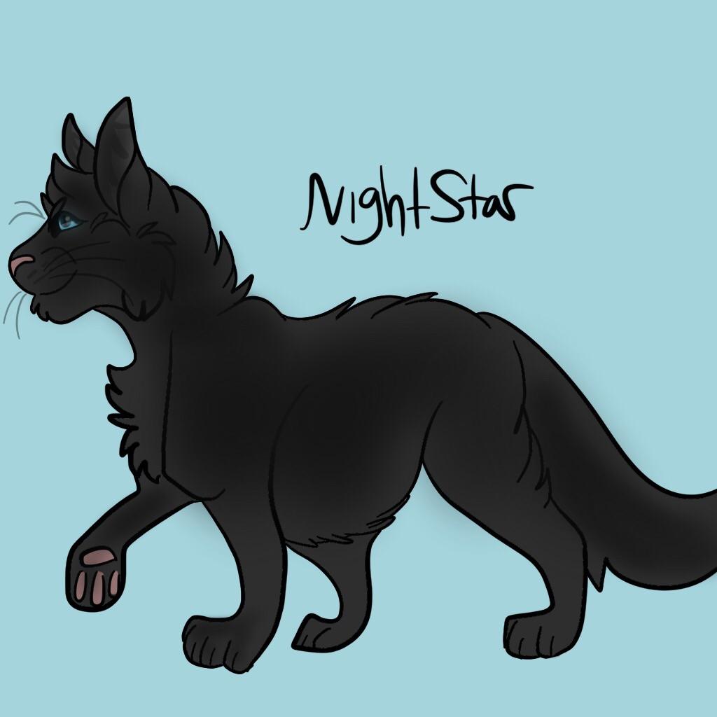 A sleek black cat named NightStar with blue eyes, walking in profile against a light blue background.