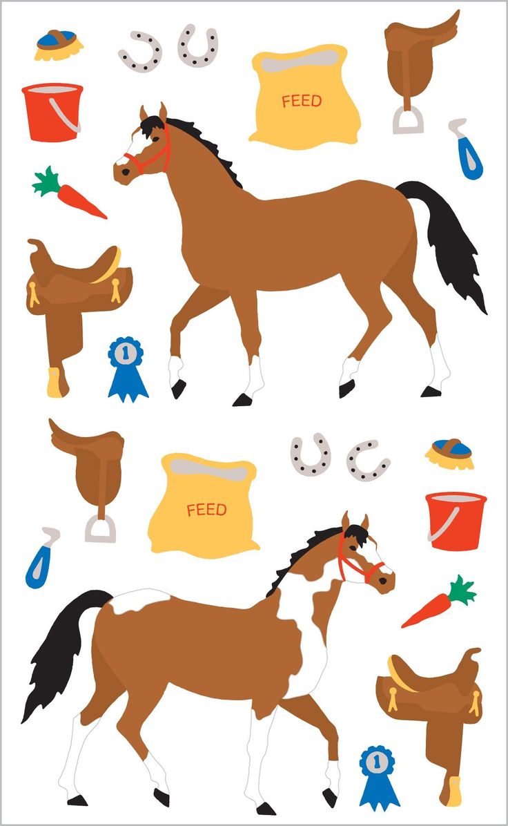 Illustration of two horses with saddles, feed bags, carrots, horseshoes, ribbons, and grooming tools for equestrian activities.