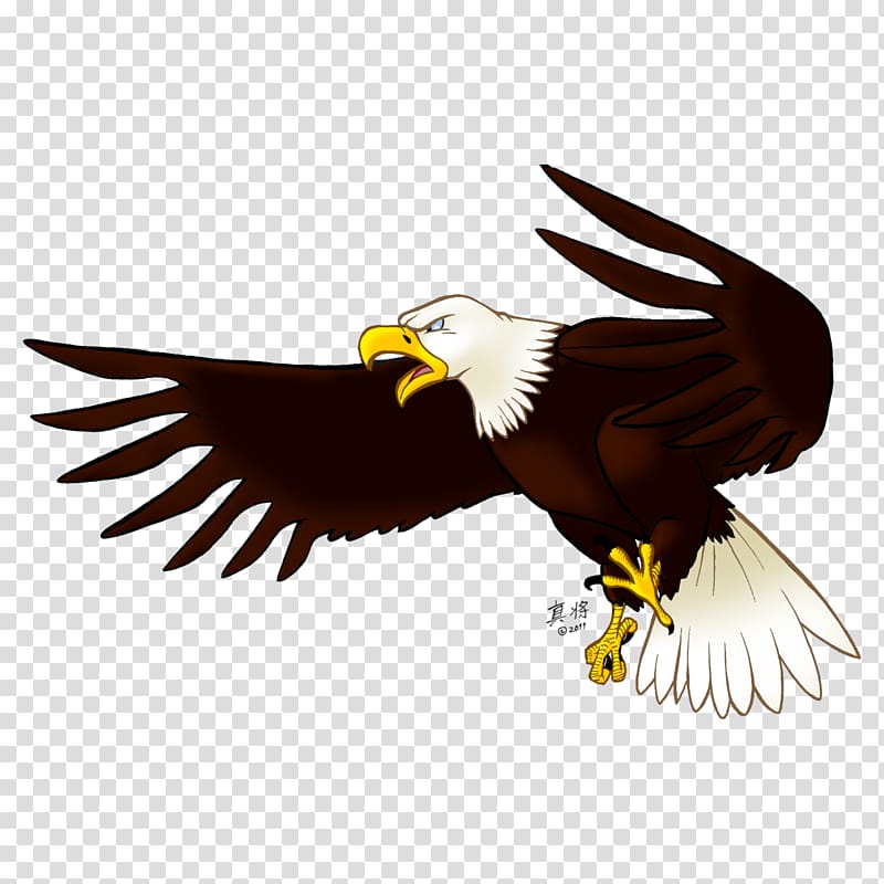 surfing eagles - Clip Art Library