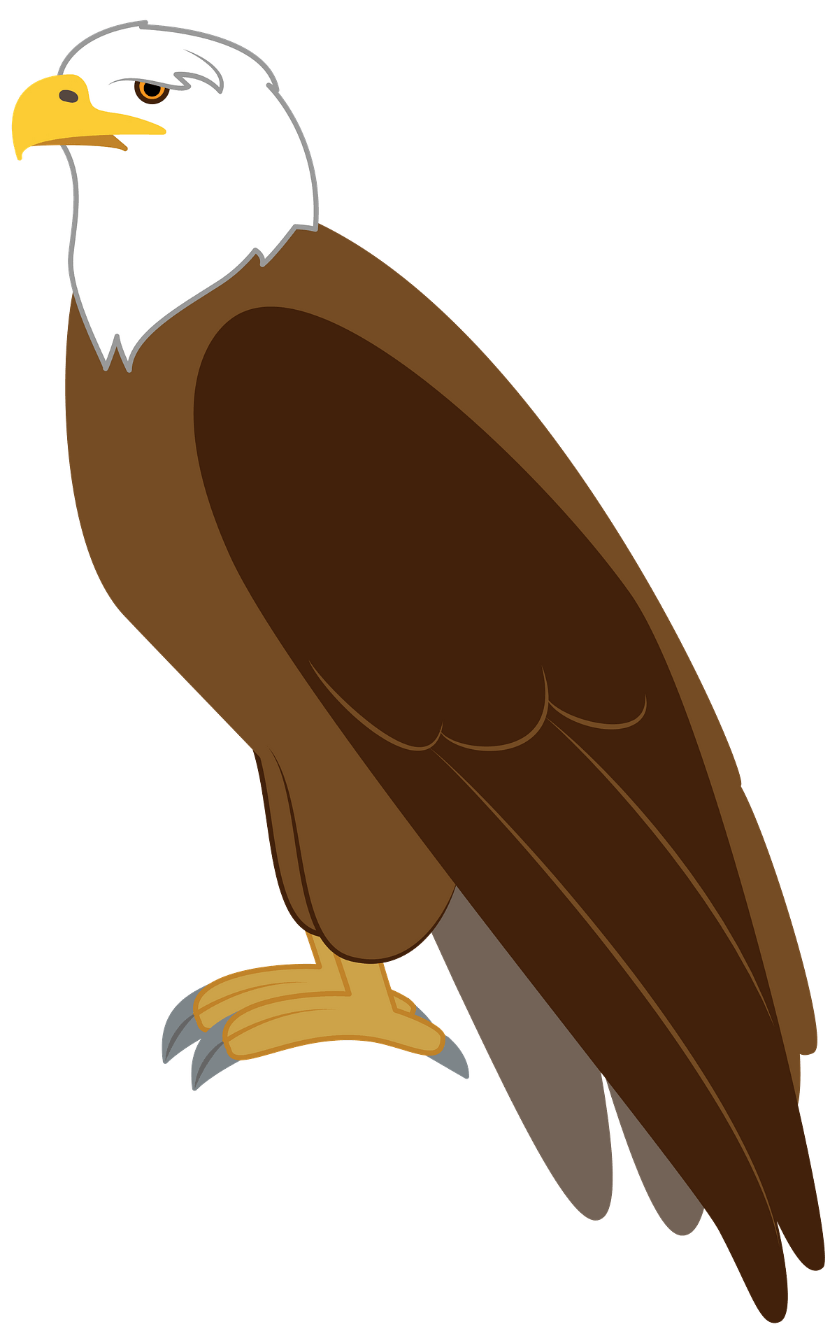 Free Eagle Head Clip Art | Eagle drawing, Eagle art, Drawings - Clip ...