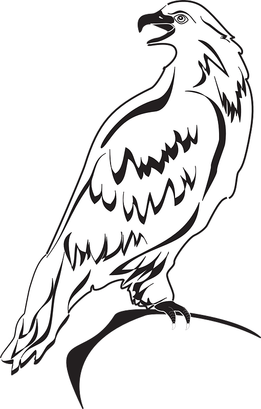 Stylized black-and-white illustration of a perched eagle with open beak and detailed feather patterns on teal background.