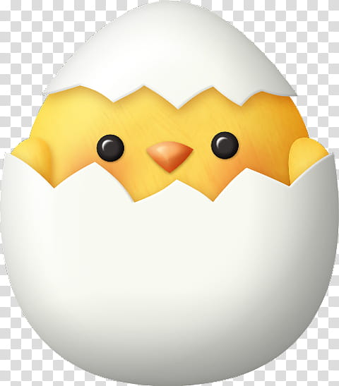 Cute yellow chick peeking out of a cracked white eggshell with big black eyes and orange beak.