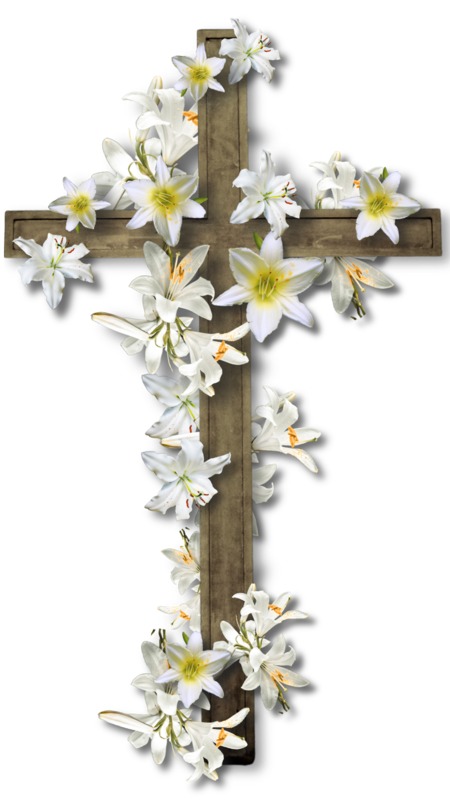 Easter Lily Christian Cross PNG, Clipart, Art, Branch, Christian - Clip ...